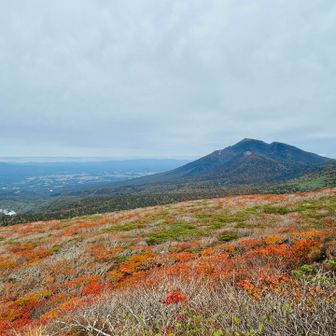 紅葉と岩手山。