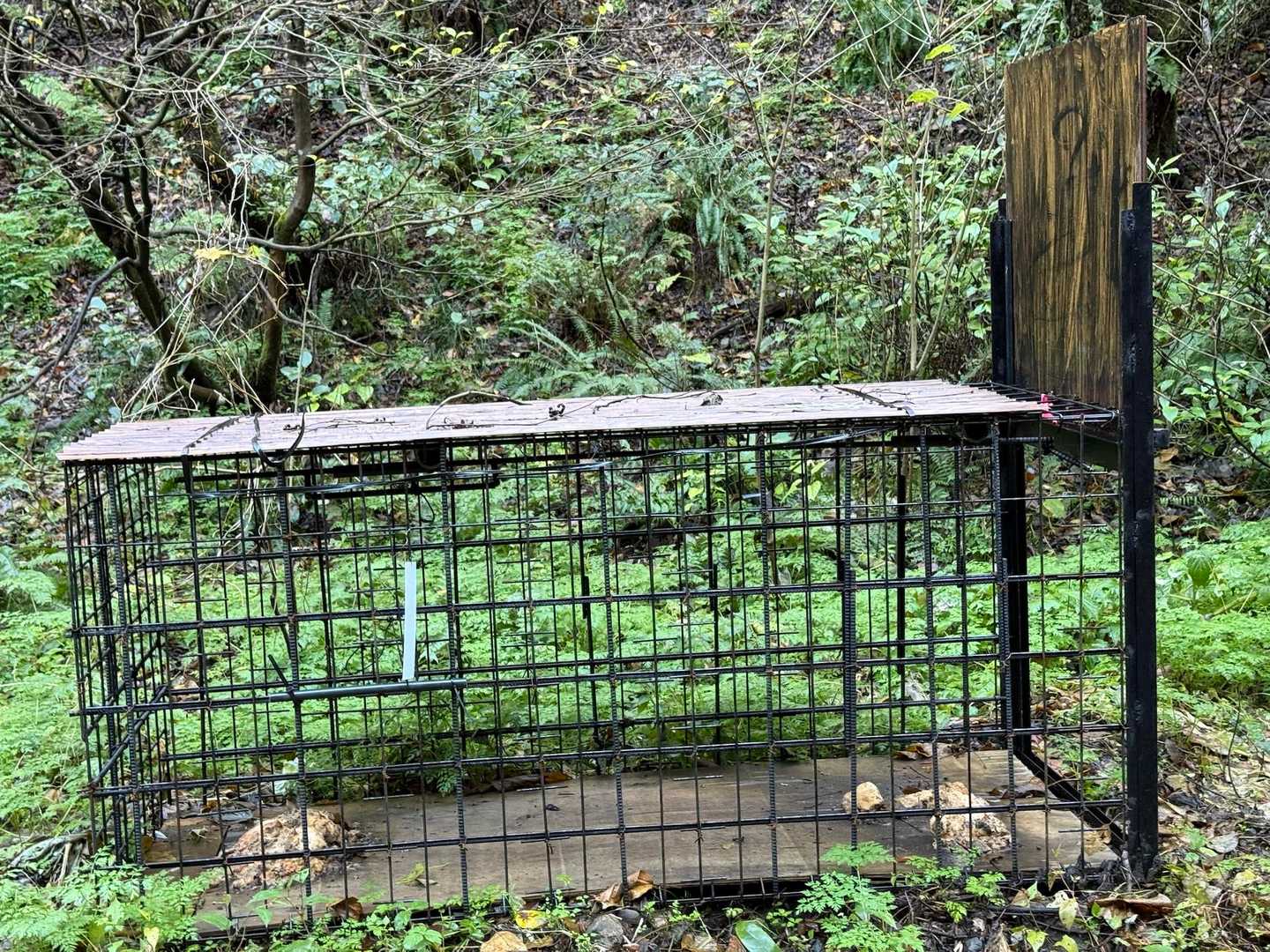 クマさん？の捕獲ワナかな