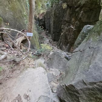 ここに来たかった、一人で満喫できた～