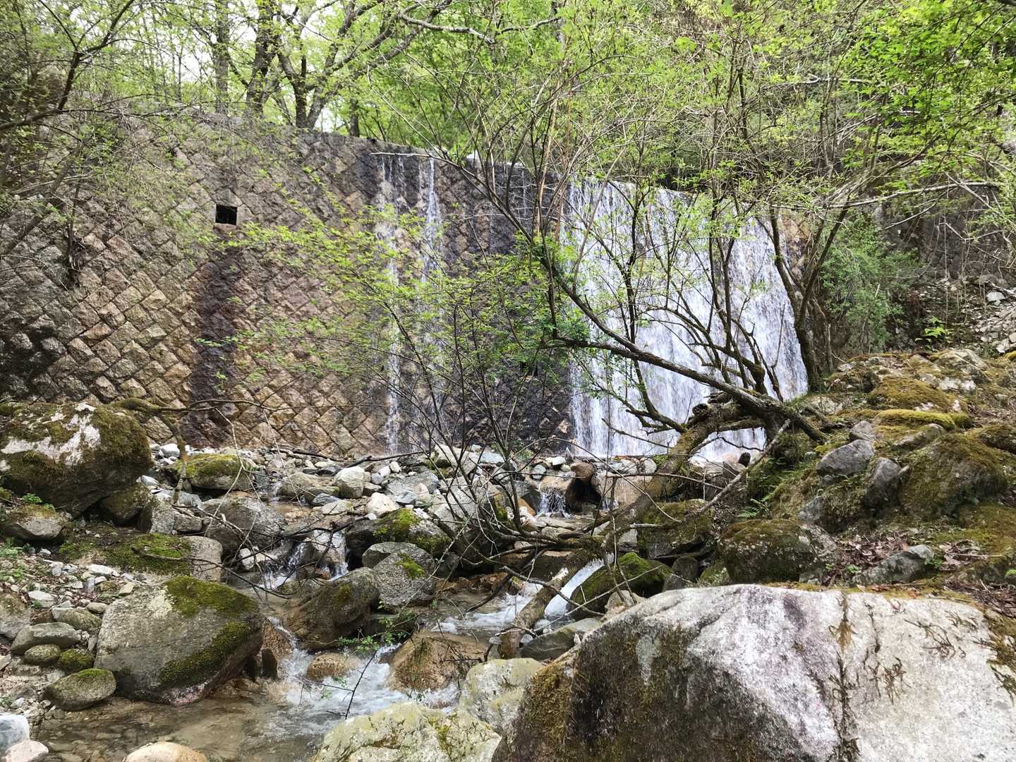 大山口に降りてきました