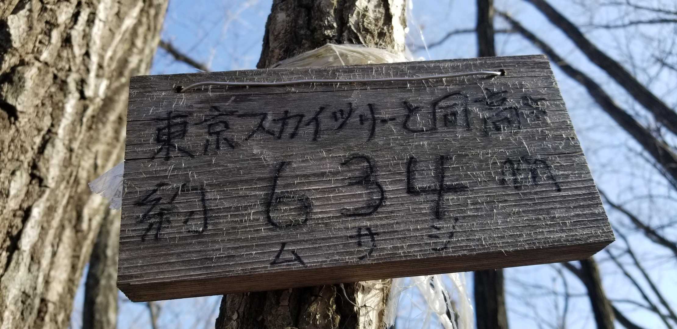 スカイツリー越え