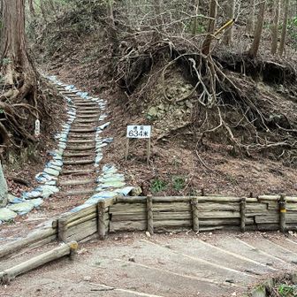 二合目まで戻ってきました😊
まっすぐ行くと千早城址へ行きます🏯