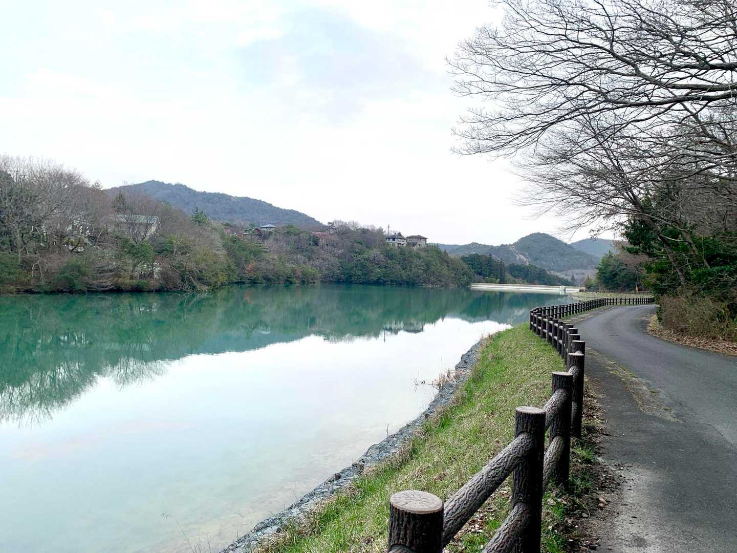 山口登山口-大坂山取付き-P186-P320-大坂山-背山 周回コースの写真
