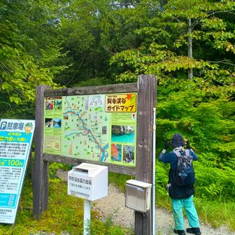 赤彦吊り橋から遊歩道へ