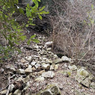 六甲山・長峰山・摩耶山 地獄大滝は少し戻って左側⬅️を高巻き