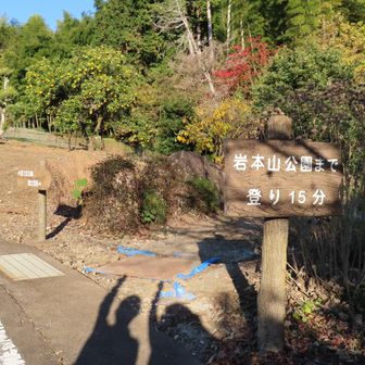 大変だった658段も下りはあっという間。
さぁ岩本山に向けて登り返し！
頑張るぞ！🦵エイエイオー✊✊