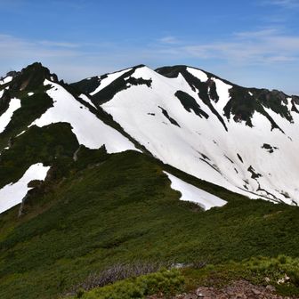 さて、比麻奈山分岐よりニセカウの稜線へ。
無雪期に歩くのが初めてなのでどのくらい時間がかかるんだか ─── 