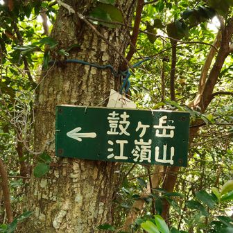 来た道を戻ります。