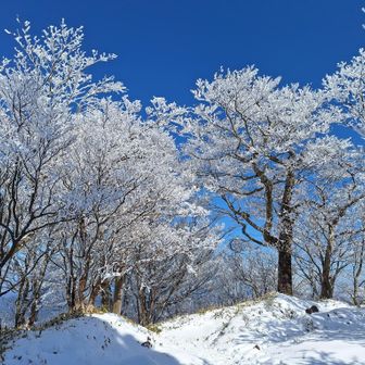 中岳山頂広場の霧氷✨
