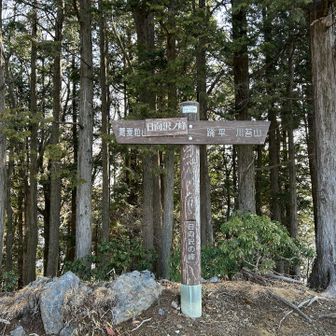 登り返しが嫌になった 日向沢ノ峰