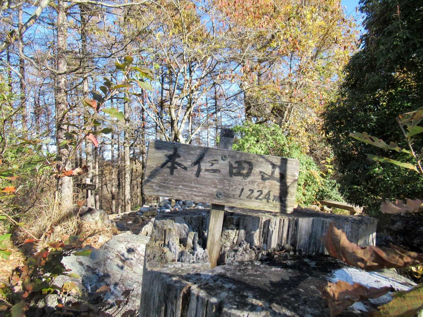 奥多摩駅-本仁田山-瘤高山-大根ノ山ノ神-鳩ノ巣駅 縦走コースの写真