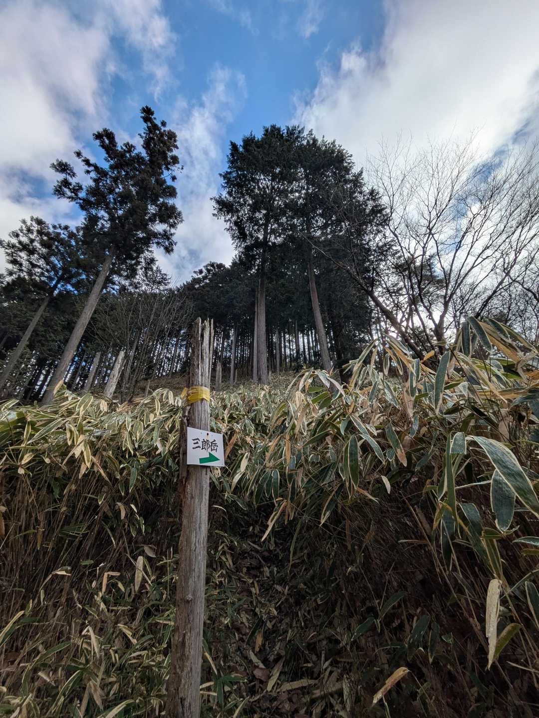 高城岳から一旦下り、今度は三郎岳へ笹の道を登る。