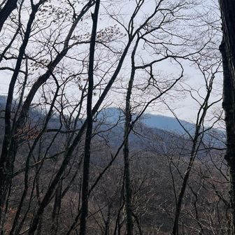 遠くにさっき登った三頭山