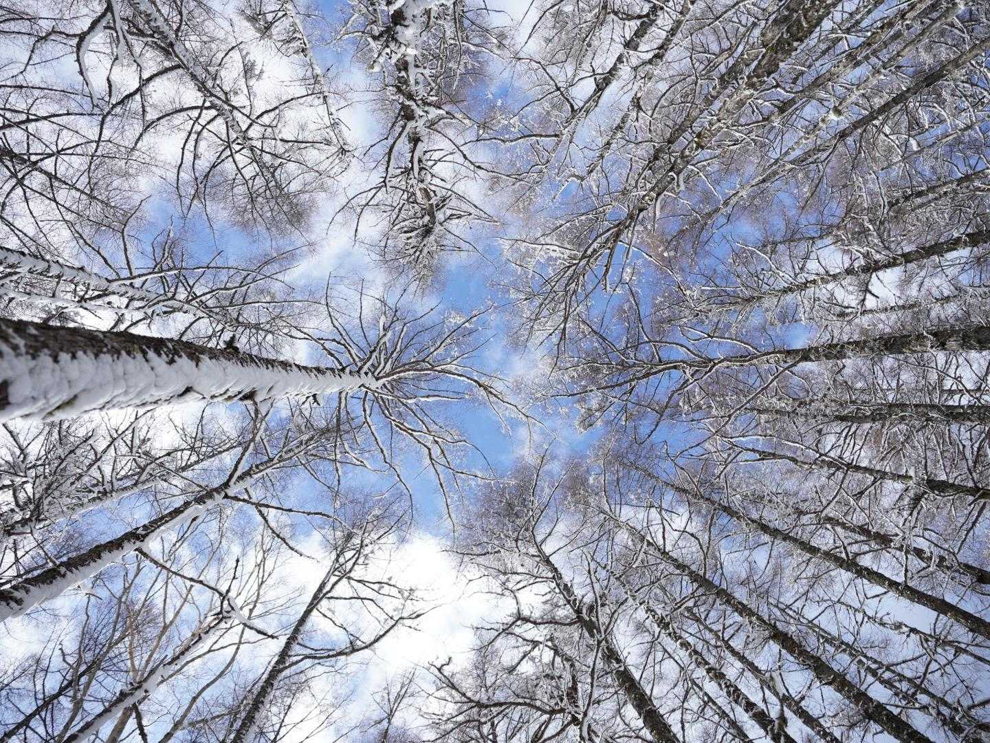 下山
