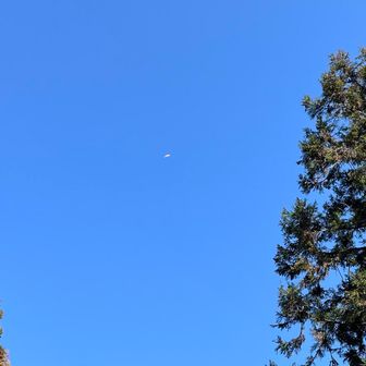 米粒ほどのはパラグライダー。→こっちは攻撃色の杉。