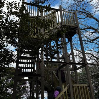 展望台があるので登ってみます