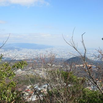 ここもあまり開けてません