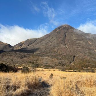 大船朝駆けの予定やったが、よー考えたら今日31日やな。晩飯までに帰らんと、親戚あつまっちょんにひんしゅくやな。て事で、テント片して帰りつつ三俣に寄るかな