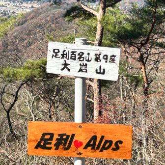 大岩山を通り、