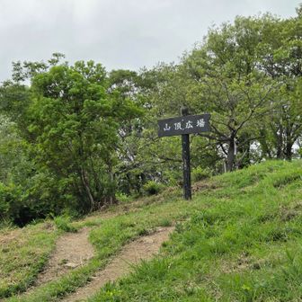 途中で
諦めかけたけど
なんとか今年も来れて良かったね⛰️