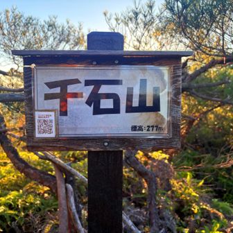 着いた！

大好き💕 千石山⛰️277m❗️
　9/20以来の25回目🙌

今更やけど
高尾山⛰️より高いんだ！💦