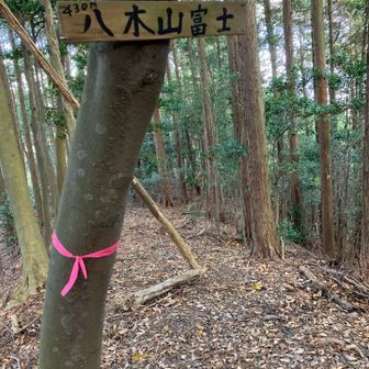 風が冷たく感じる今日の頂上でした。見晴らしはありません。ここからが大変でした。