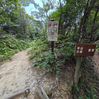 朝、ここでマムシに遭遇。写真撮ろうと思ったのに、闇を引き裂く様な私の悲鳴にビックリして逃げてしまった😵💧静かにしていたら撮れたのに。今年初( =＾ω＾)
