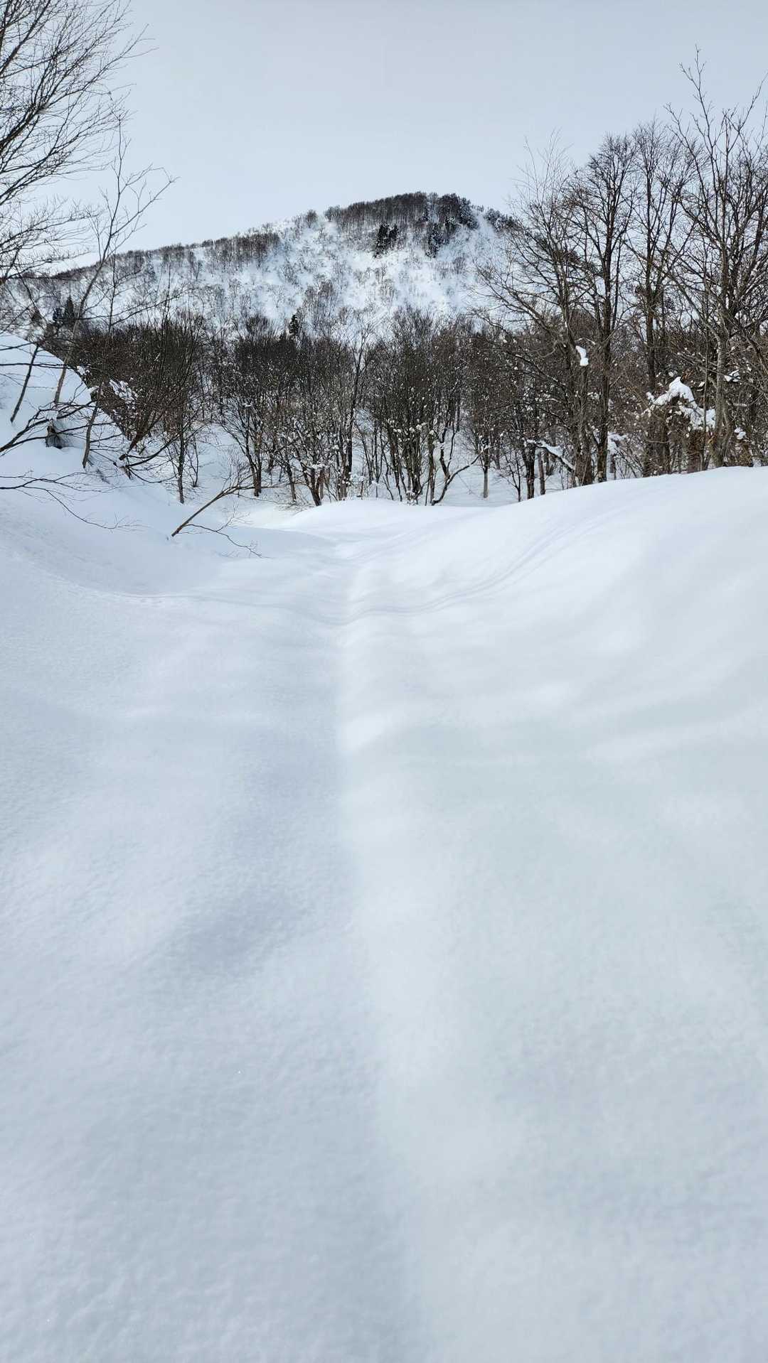 まだまだ遠い