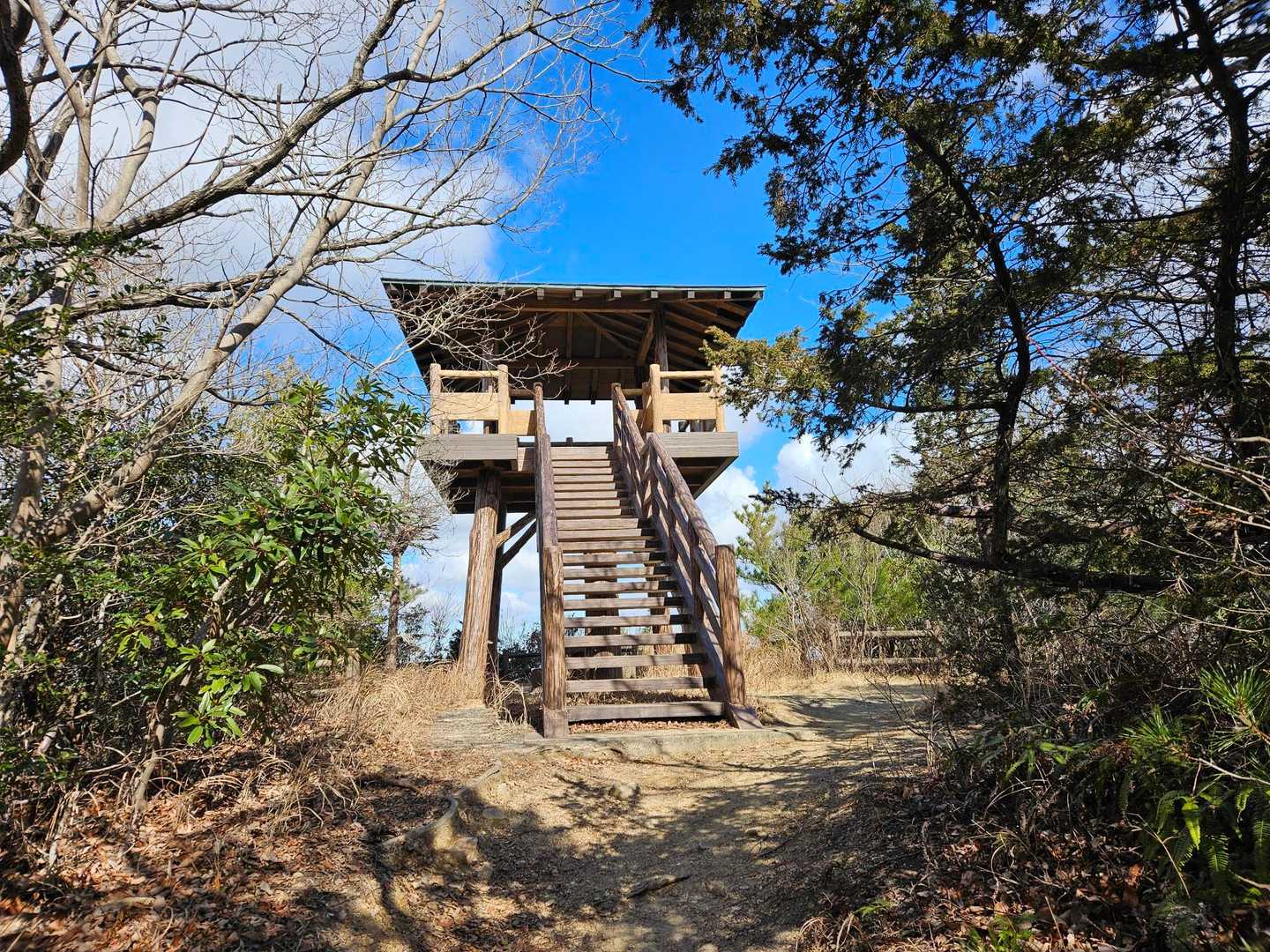 茶臼山-イナバ山 往復コースの写真
