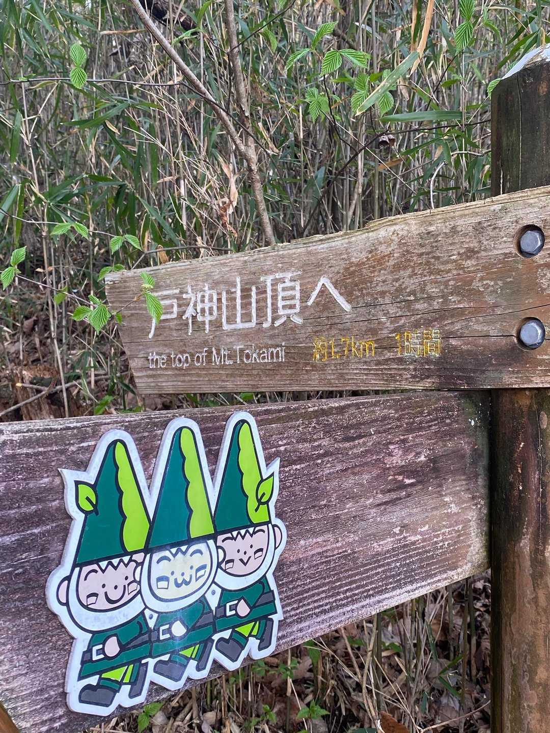 戸神山 往復コースの写真