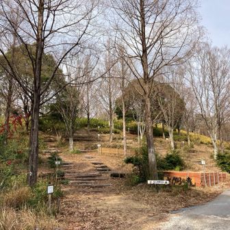 はじめて
相良山荘