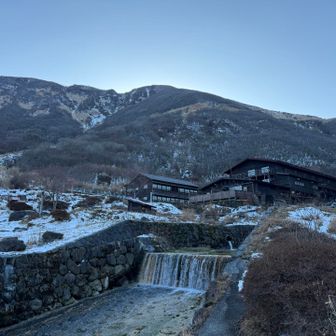 みえた！おおきい！