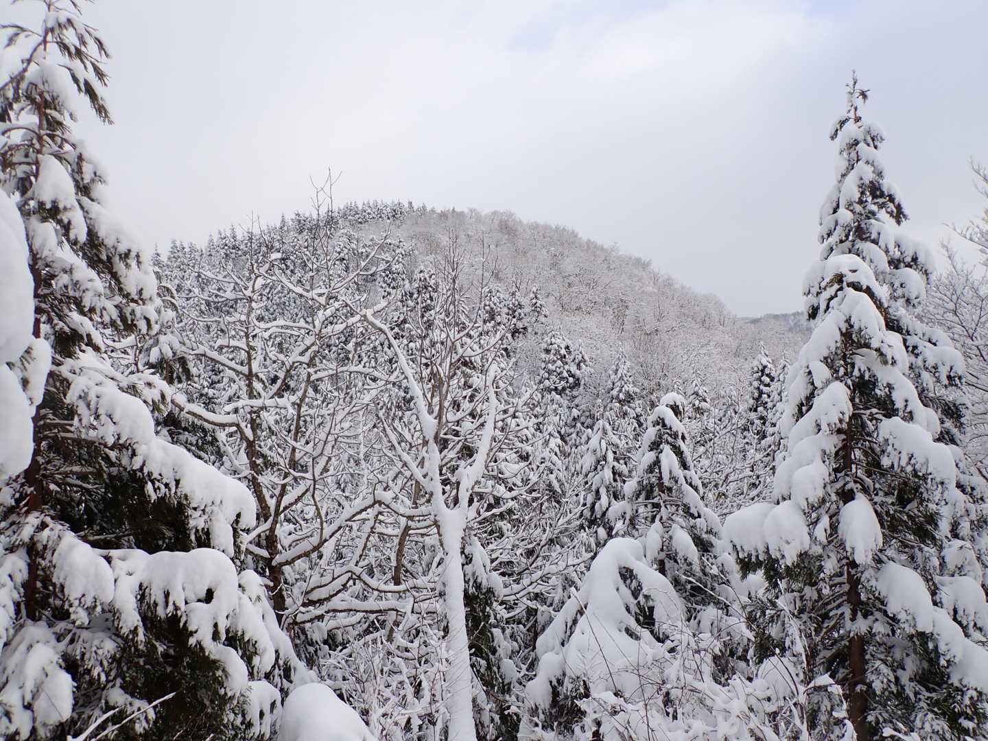 塔倉山