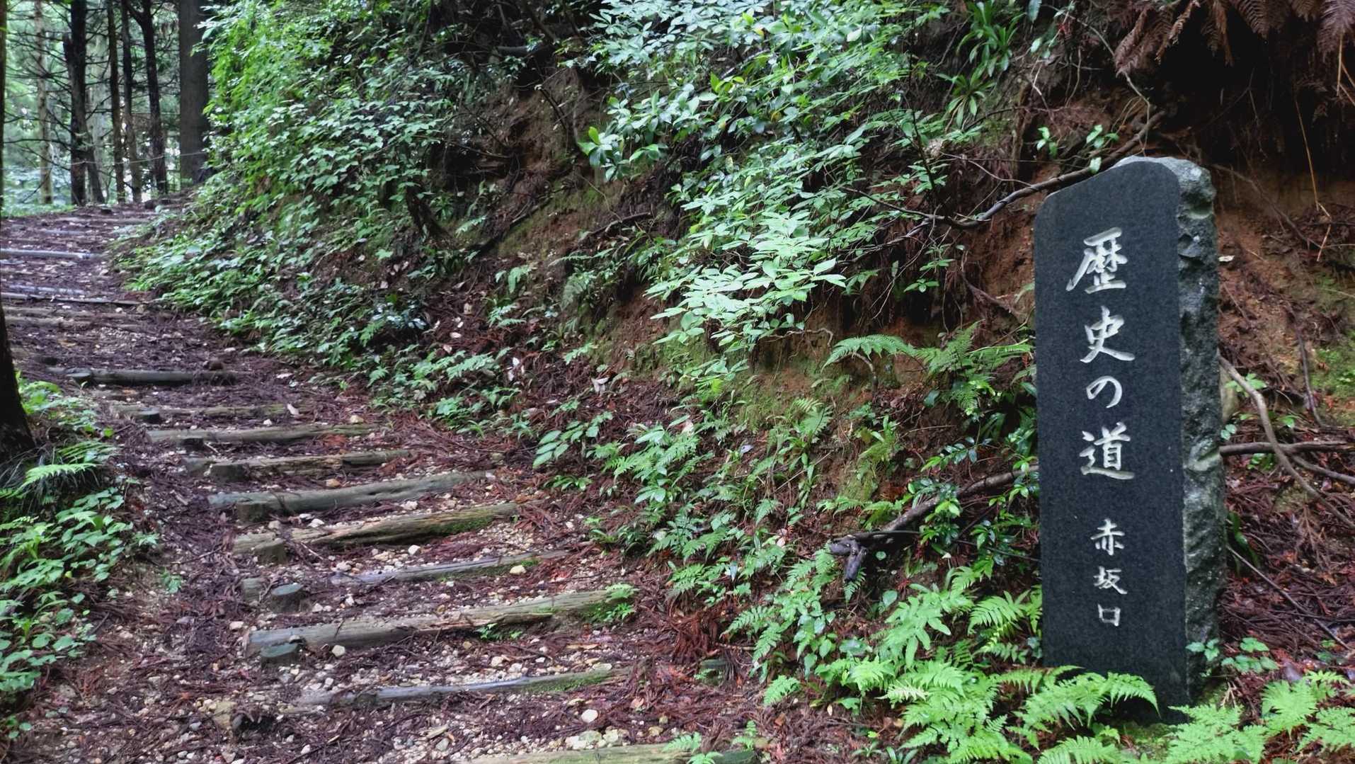 七尾城跡-松尾山 往復コースの写真