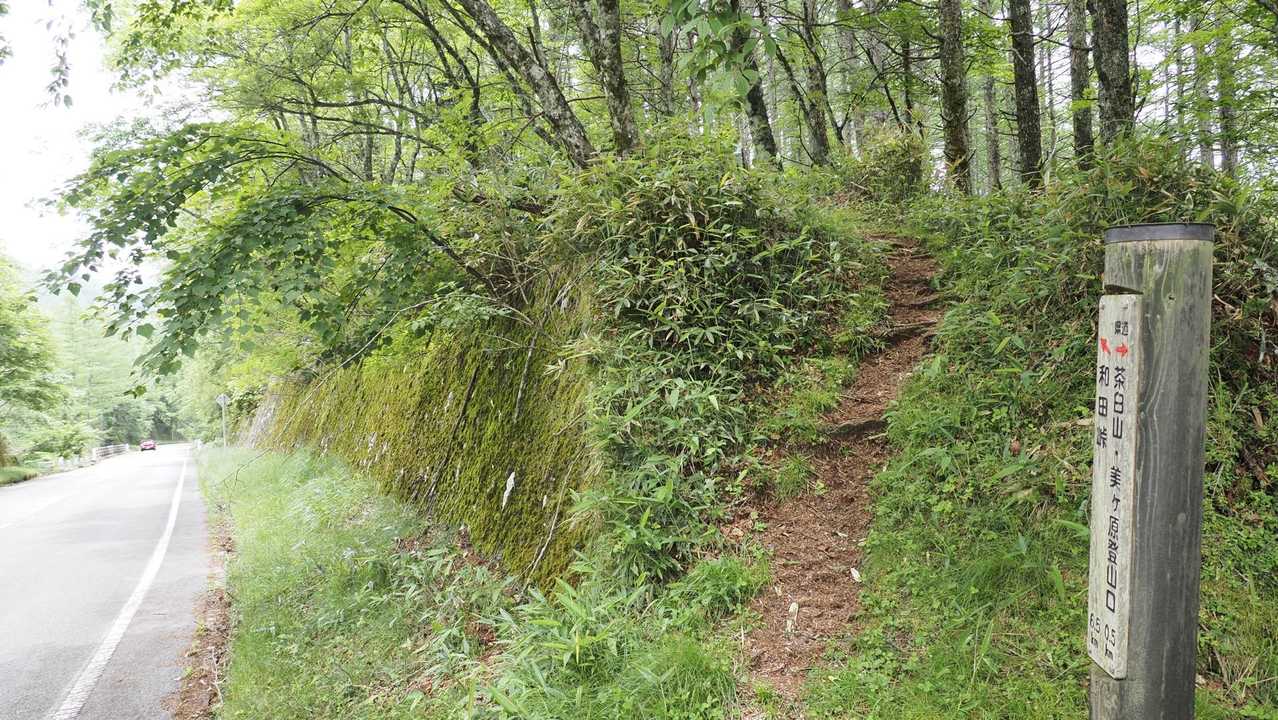 中央分水嶺トレイル（長門牧場〜白樺湖〜八島湿原〜三峰山〜美ヶ原）、2daysスルーハイク の写真 45