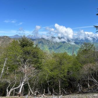 光岳、聖岳方面
