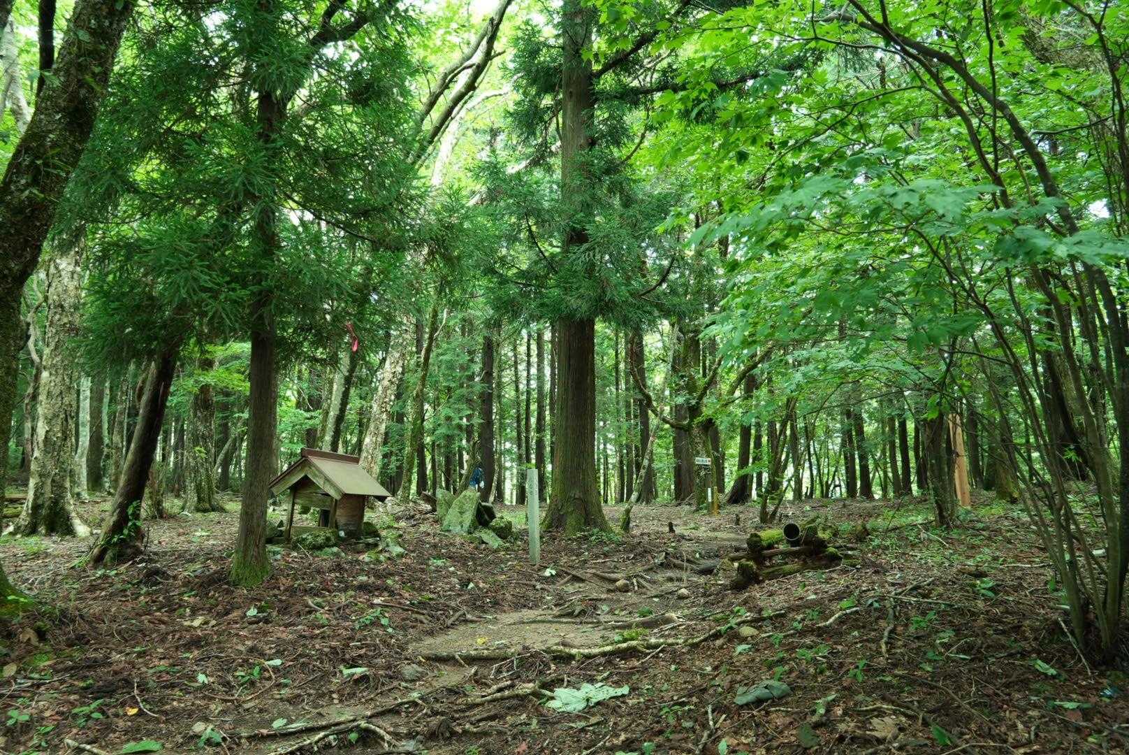 下呂御前山 往復コースの写真