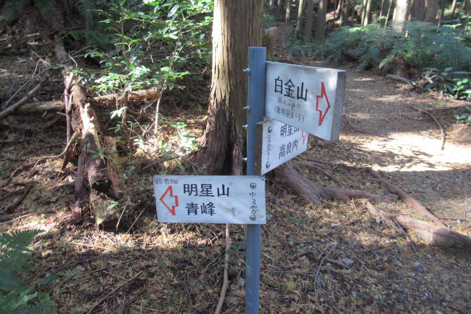 今日は、左手緩やかコースへ・・・