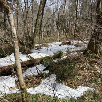 雪が残っている