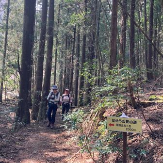 無事登山口に。気持ちいいコースだったね〜。