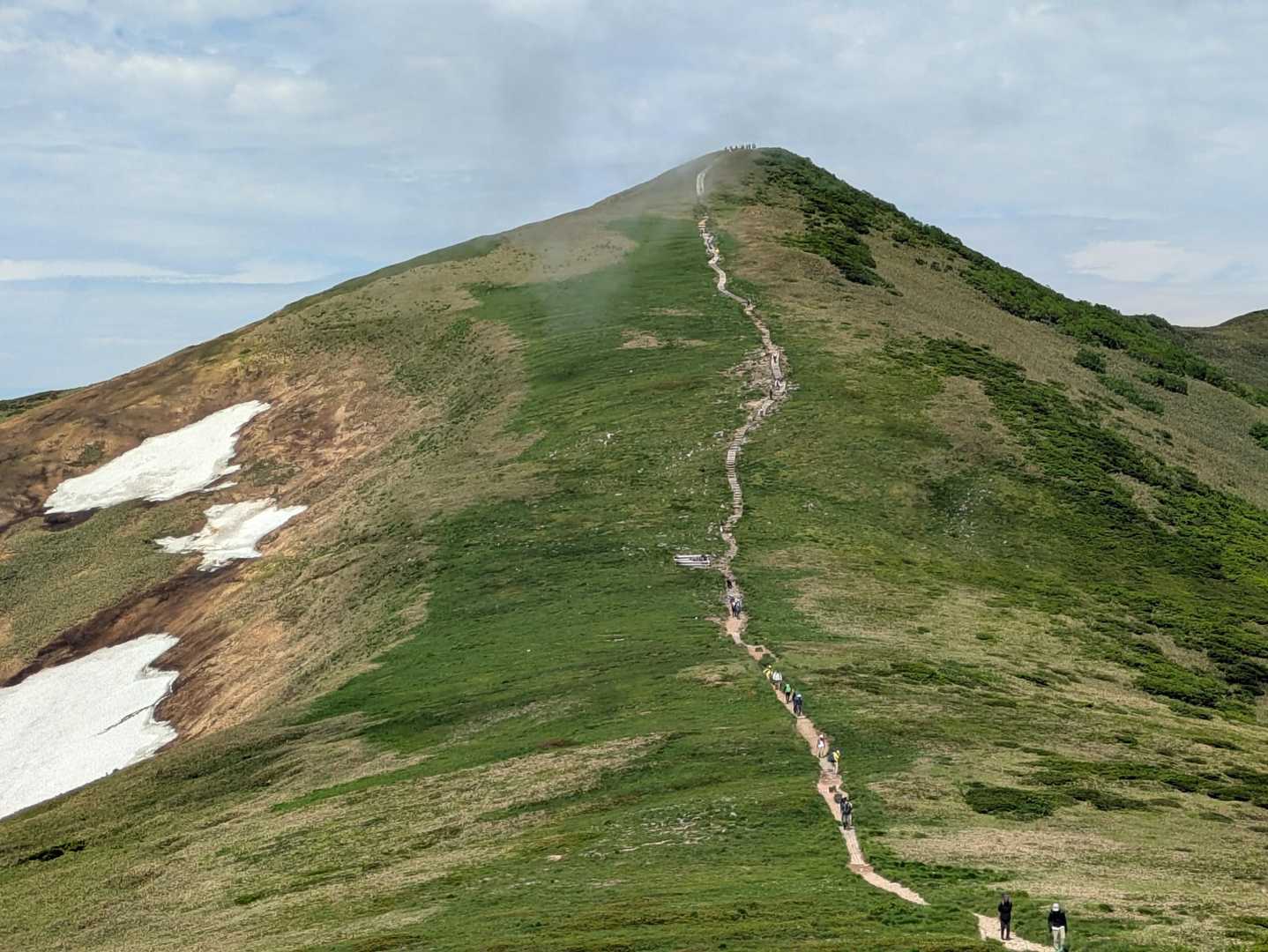 平標山へ戻る途上、登山道一帯がお花畑