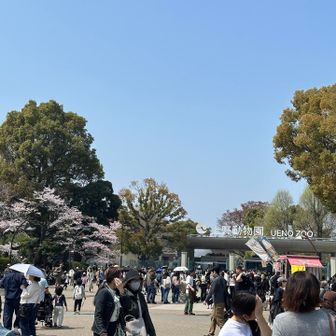 パンダ不在の上野動物公園🐼
