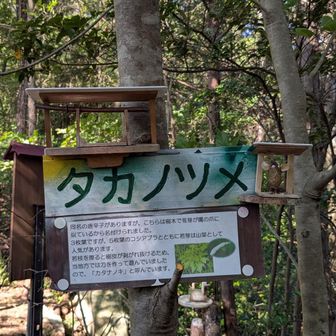 小さな剣が可愛い⚔️