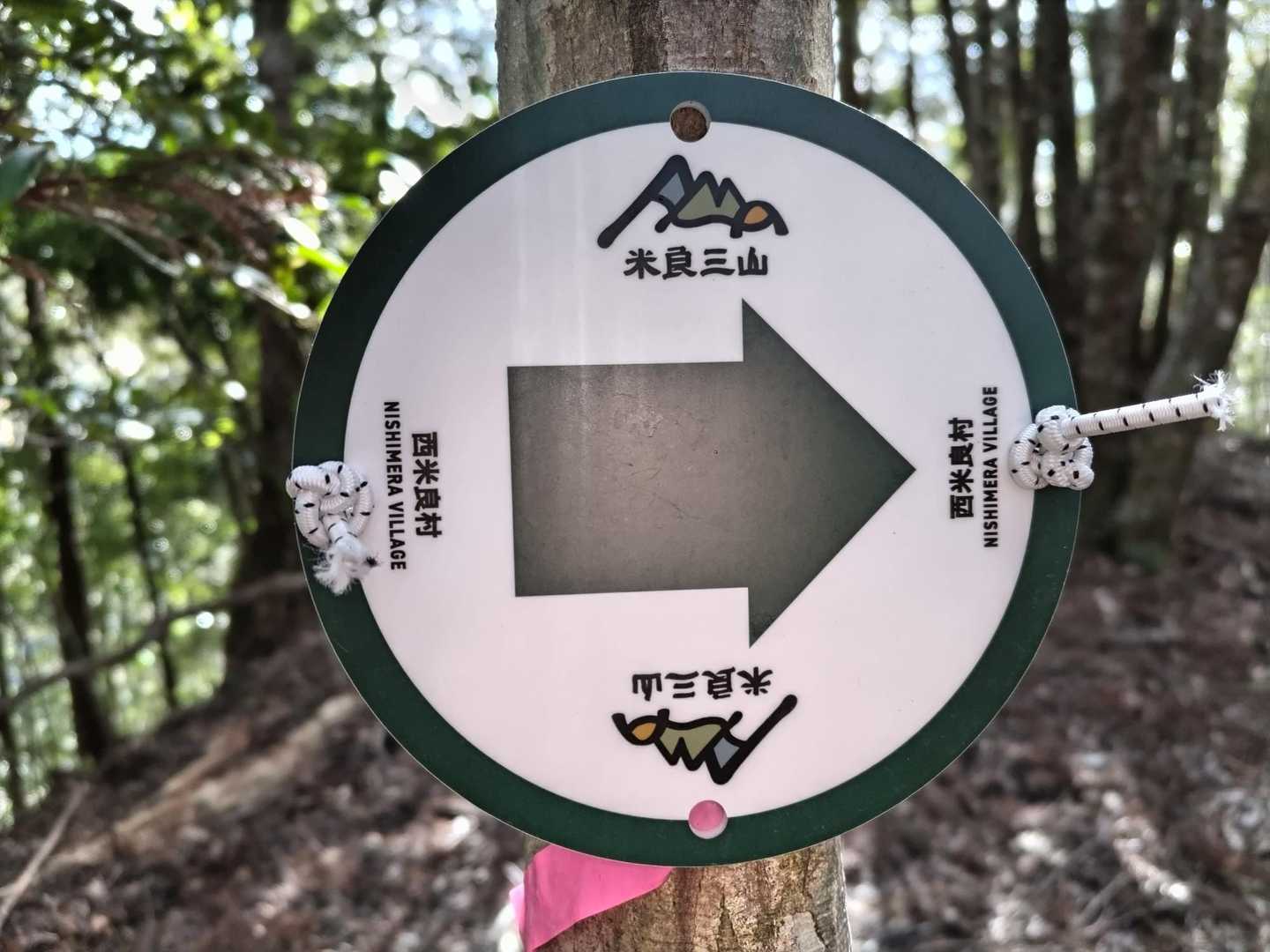 これ見たかったやつ😆