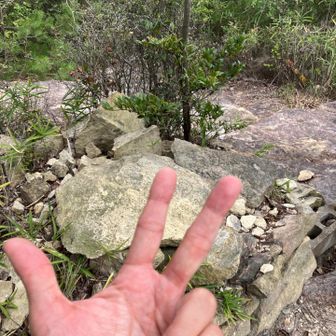 プレート見当たらないけど長尾奥山⛰️山頂
これで300座のはず😆