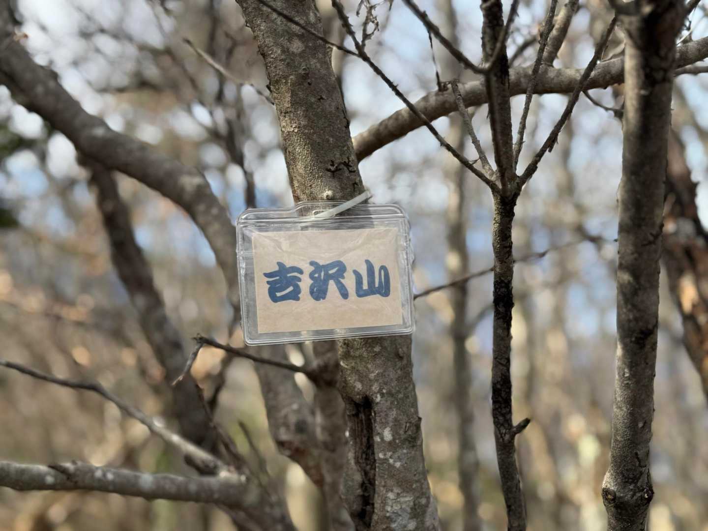 吉沢山山頂 探しました😅