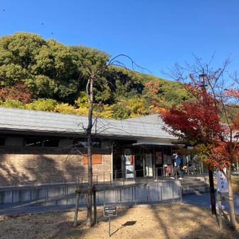 れきしるこまき（小牧山城史跡情報館）