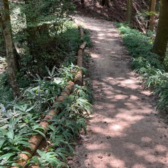 ととや道に合流！　筆屋道の谷から吹き上がる風が気持ちいい✨