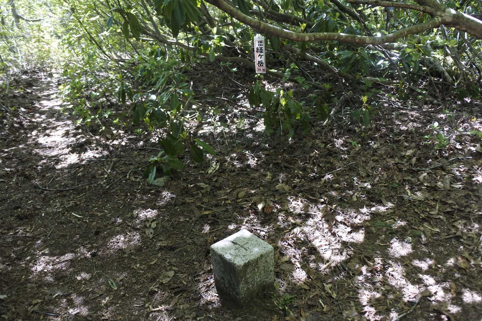 お目当てを見つけられず山頂😭