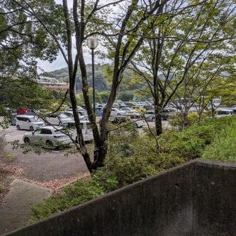 駐車場には🚙がいっぱい
高校の秋の野球大会が開催されてるみたい
